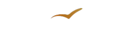 isarfinanz_white_png 1